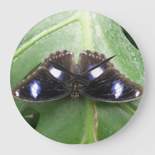 Beautiful Blue Spotted Butterfly Wall Clock