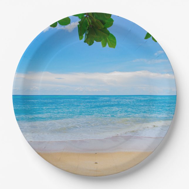 Beautiful Blue Tropical Beach Paper Plate (Front)