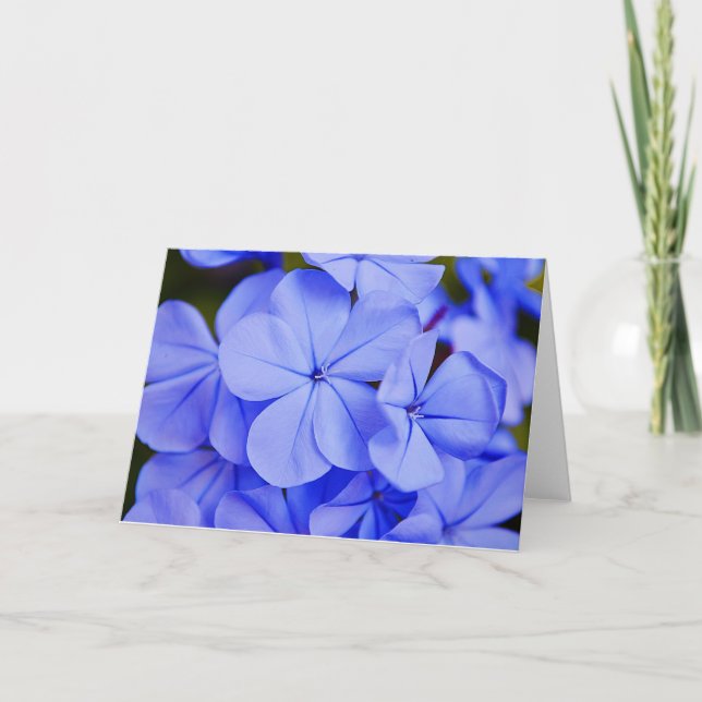 Beautiful Blue Tropical Flowers Note Card (Front)