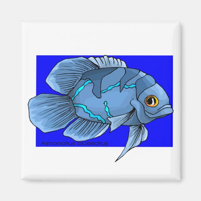 Beautiful Blue Tropical Oscar Fish Magnet (Front)