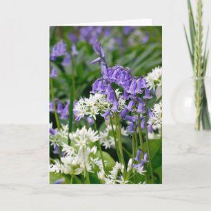 Beautiful Bluebells and Wild Garlic Greeting Card