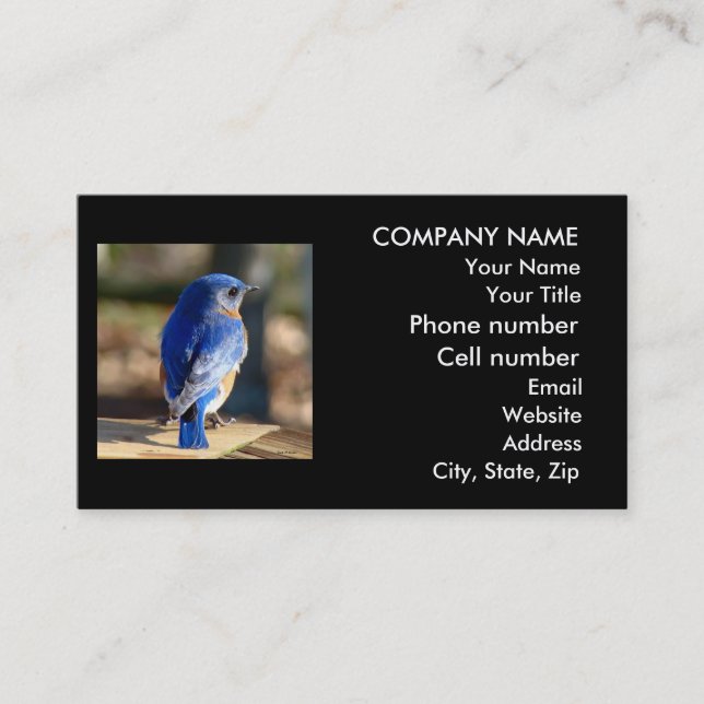 Beautiful Bluebird Business Card (Front)