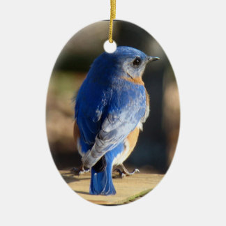 Beautiful Bluebird Ceramic Tree Decoration