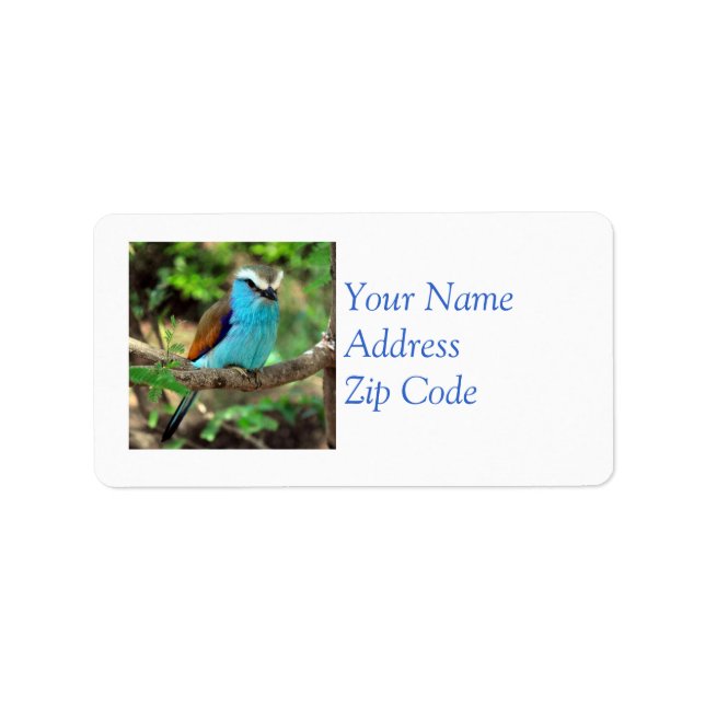 Beautiful Bluebird Mailing Label (Front)