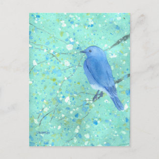 Beautiful Bluebird Postcard