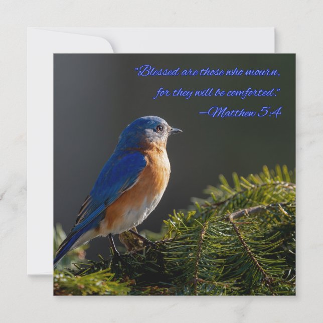 Beautiful Bluebird sympathy card Matthew 5:4 (Front)
