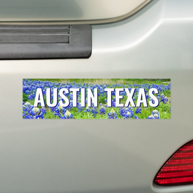 Beautiful Bluebonnets Austin Texas Photography Bumper Sticker (On Car)