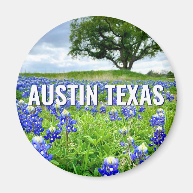 Beautiful Bluebonnets Austin Texas Photography Magnet (Front)