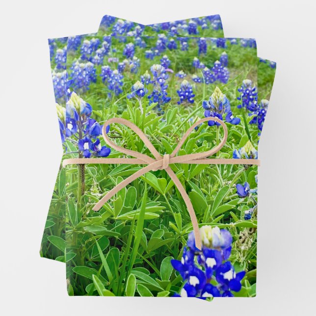 Beautiful Bluebonnets Texas Photography Wrapping Paper Sheet (In situ)