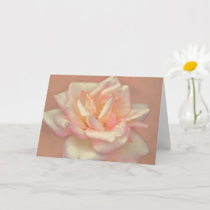 Beautiful Blush Pink Rose Flower Art Note Card