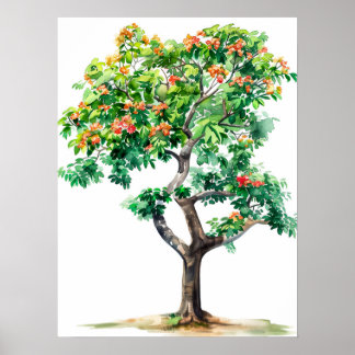 Beautiful Bombax Ceiba Tree Watercolor Poster