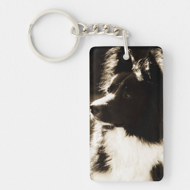 Beautiful Border Collie~ Key Ring (Front)