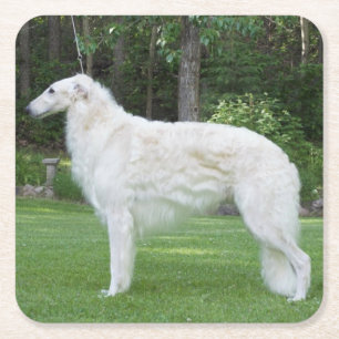 Beautiful Borzoi  Square Paper Coaster