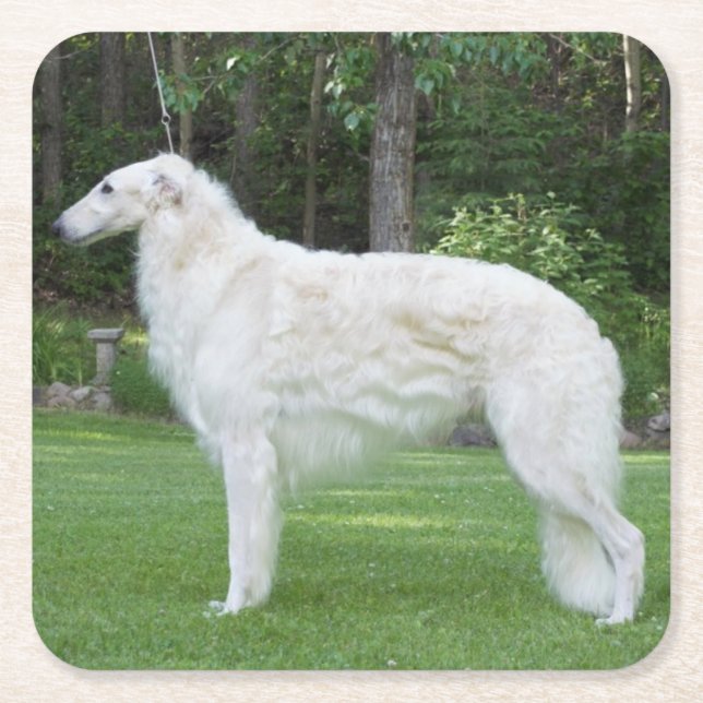 Beautiful Borzoi  Square Paper Coaster (Front)