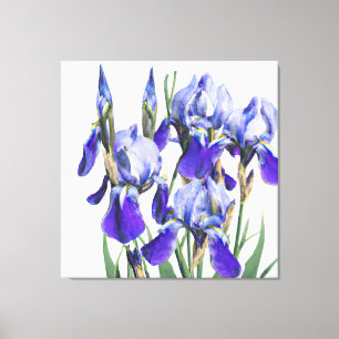 Beautiful Botanical Watercolor Blue Iris Flowers P Canvas Print