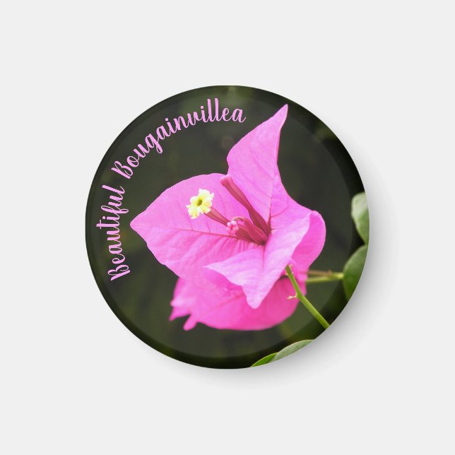 Beautiful Bougainvillea Magnet (Front)