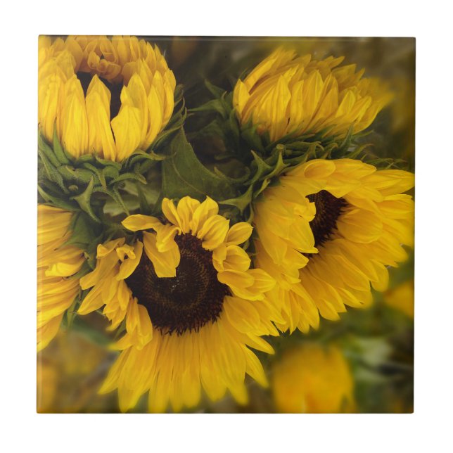 Beautiful Bouquet of Gold Sunflowers Tile (Front)