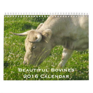 Beautiful Bovines 12 Month Calendar for 2016