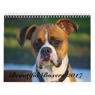 Beautiful Boxers 2017 Calendar