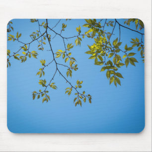 beautiful branch with green and yellow leaves hug mouse mat