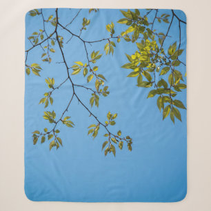 beautiful branch with green and yellow leaves hug sherpa blanket