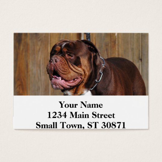 beautiful breed dog renascence bulldog business card