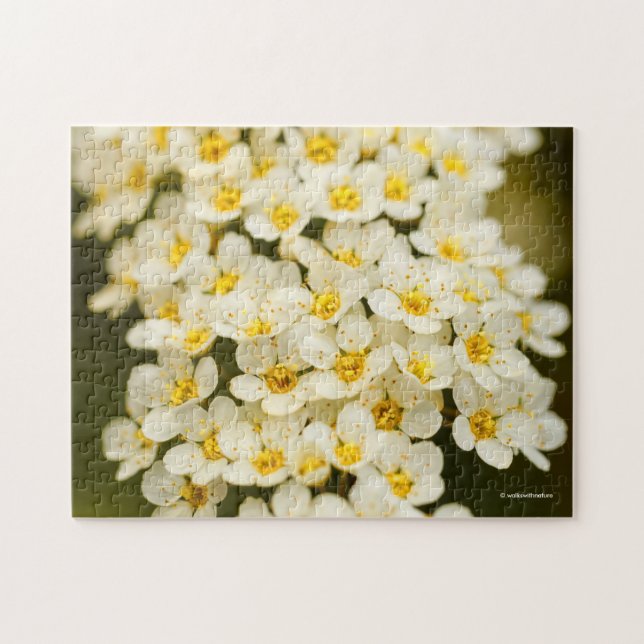 Beautiful Bridal Wreath Spiraea Jigsaw Puzzle (Horizontal)