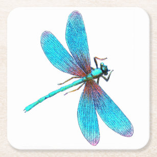 Beautiful Bright Blue Turquoise Dragonfly Square Paper Coaster