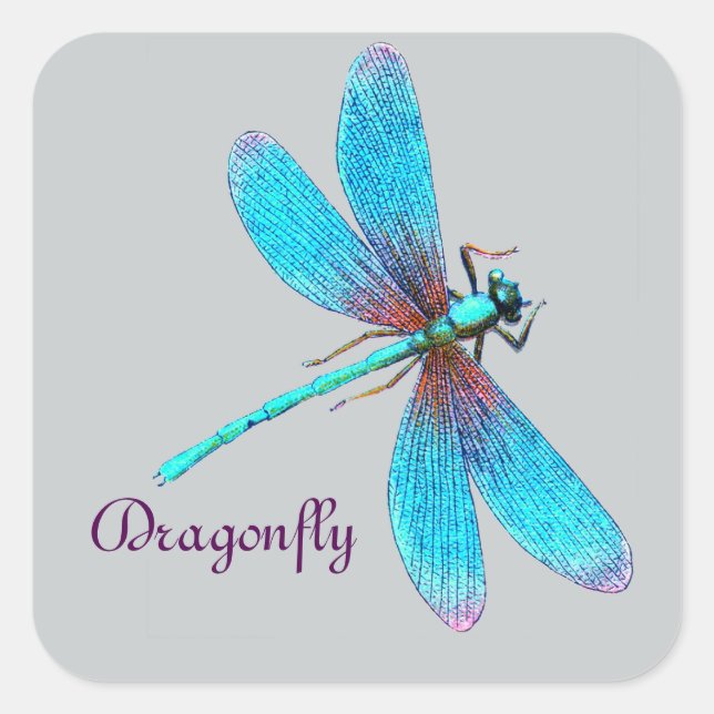 Beautiful Bright Blue Turquoise Dragonfly Square Sticker (Front)