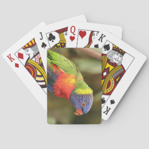 Beautiful Bright Colourful Parrot Playing Cards