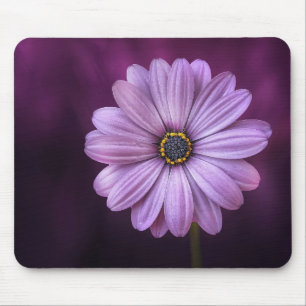 Beautiful, bright, elegant, pink-purple daisy mouse mat