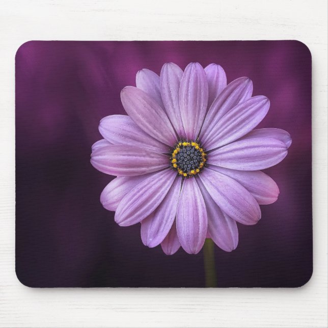 Beautiful, bright, elegant, pink-purple daisy mouse mat (Front)
