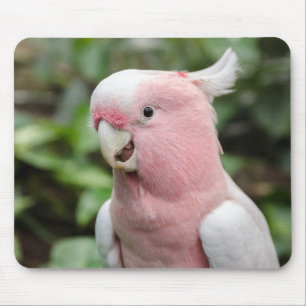 Beautiful Bright Pink and White Parrot Mouse Mat