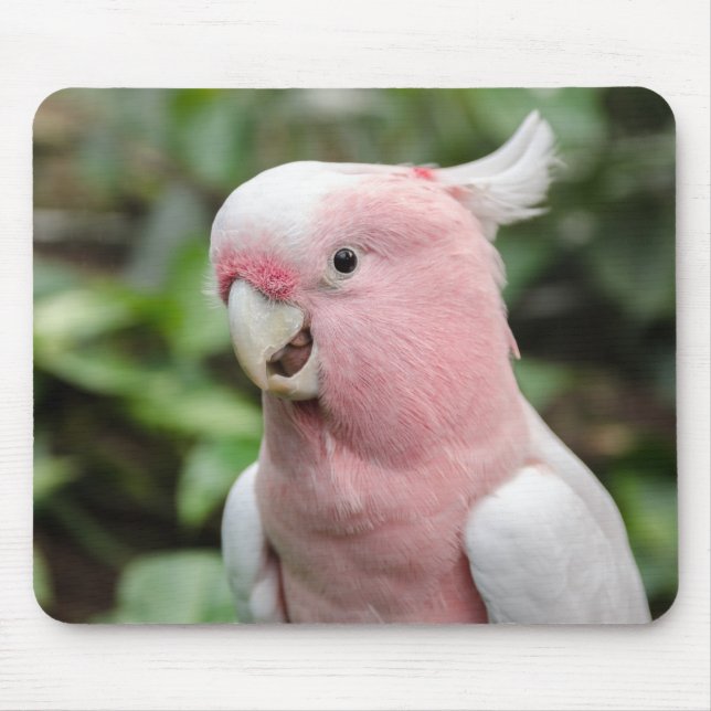 Beautiful Bright Pink and White Parrot Mouse Mat (Front)