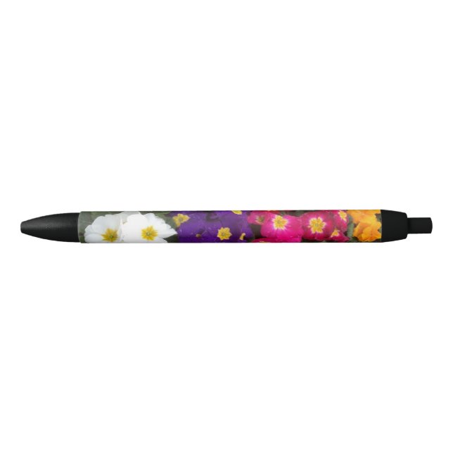 Beautiful Bright Polyanthus flowers  Black Ink Pen (Front)
