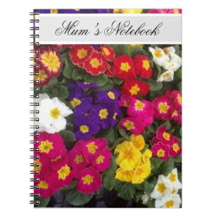 Beautiful Bright Polyanthus flowers  Notebook