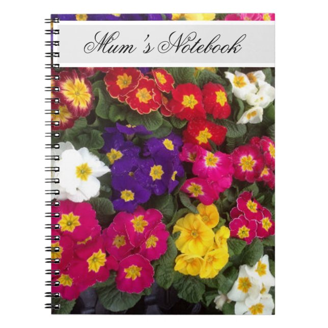 Beautiful Bright Polyanthus flowers  Notebook (Front)