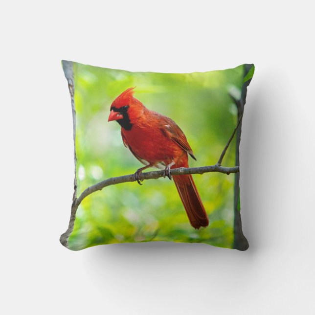 Beautiful Bright Red Cardinal in a Tree Cushion (Front)