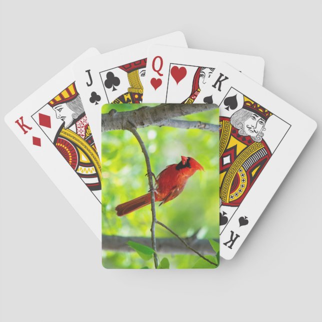 Beautiful Bright Red Cardinal in a Tree Playing Cards (Back)