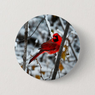 Beautiful Bright Red Cardinal in the Snow 6 Cm Round Badge