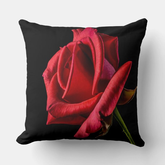 Beautiful Bright Red Rose Closeup Cushion (Front)