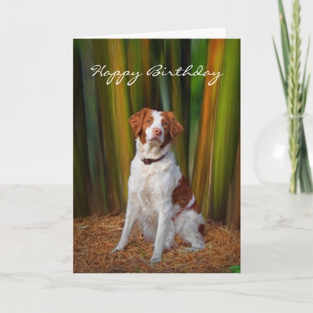 Beautiful Brittany Birthday Card (Front)