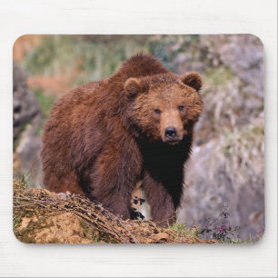 Beautiful Brown Bear Mouse Pad