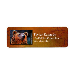 Beautiful Brown Bear Portrait Wildlife Photo