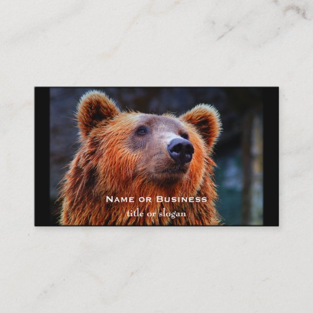 Beautiful Brown Bear Portrait Wildlife Photo Business Card (Front)