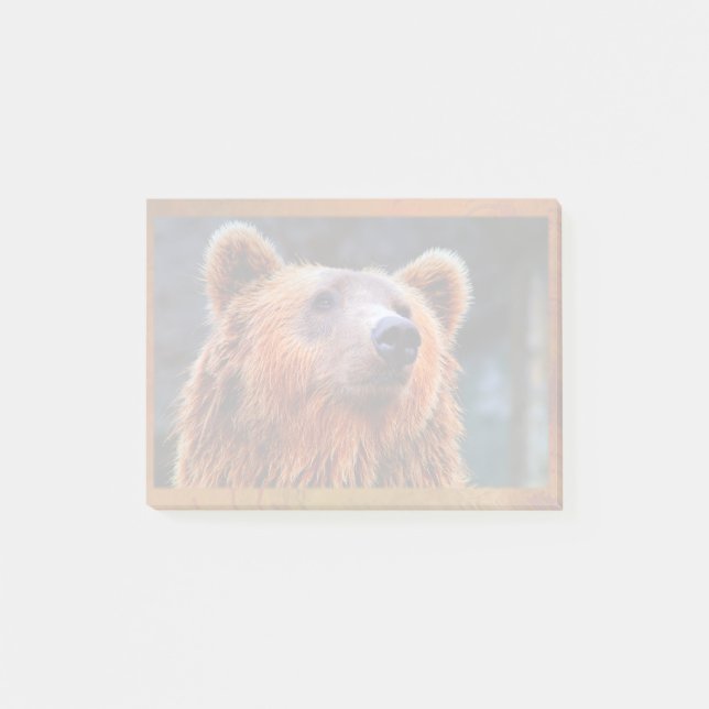 Beautiful Brown Bear Portrait Wildlife Photo Post-it Notes (Front)