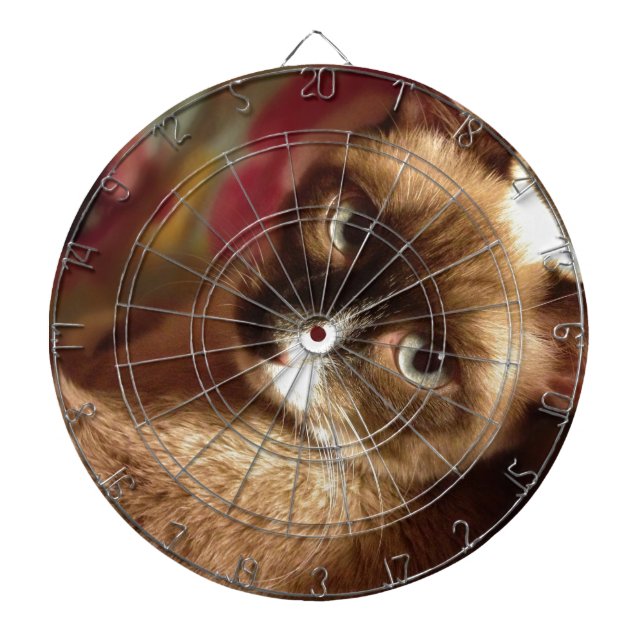 Beautiful Brown Cat Dartboard (Front)