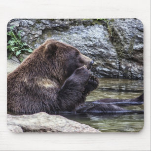 Beautiful Brown Grizzly Bear Mouse Mat