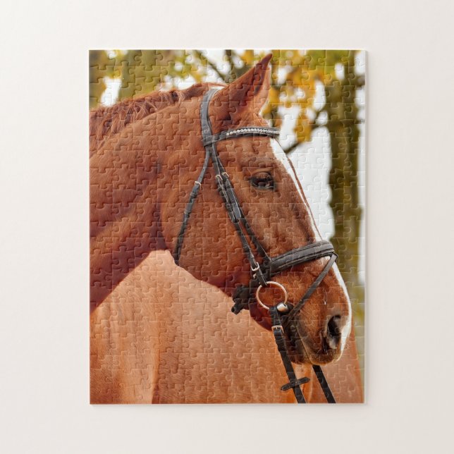 Beautiful Brown Horse Jigsaw Puzzle (Vertical)