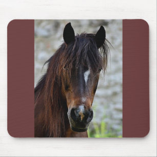 Beautiful Brown Horse Mouse Mat